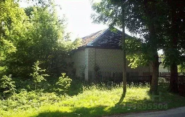 Офис в Брянская область, Стародубский муниципальный округ, с. ... - Фото 2