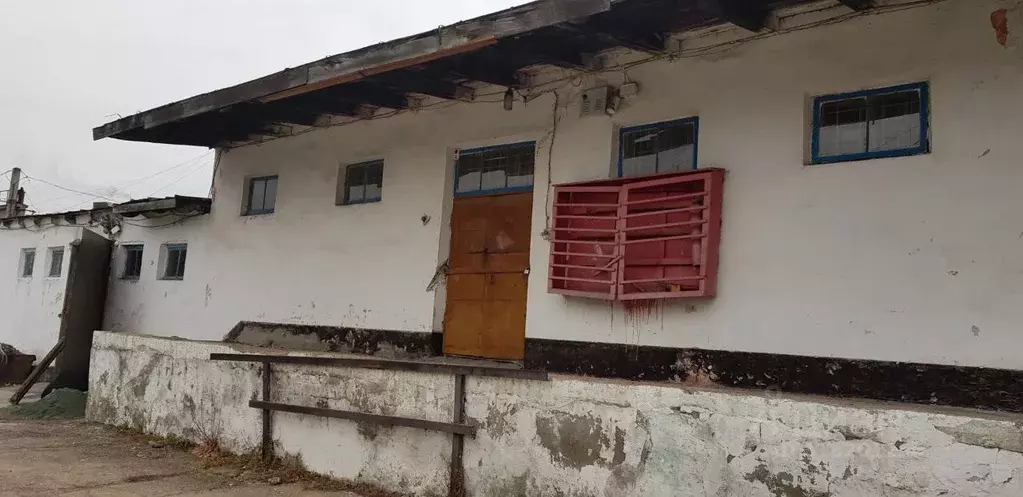 Склад в Алтайский край, Барнаул Молодежная ул., 172 (129 м) - Фото 1