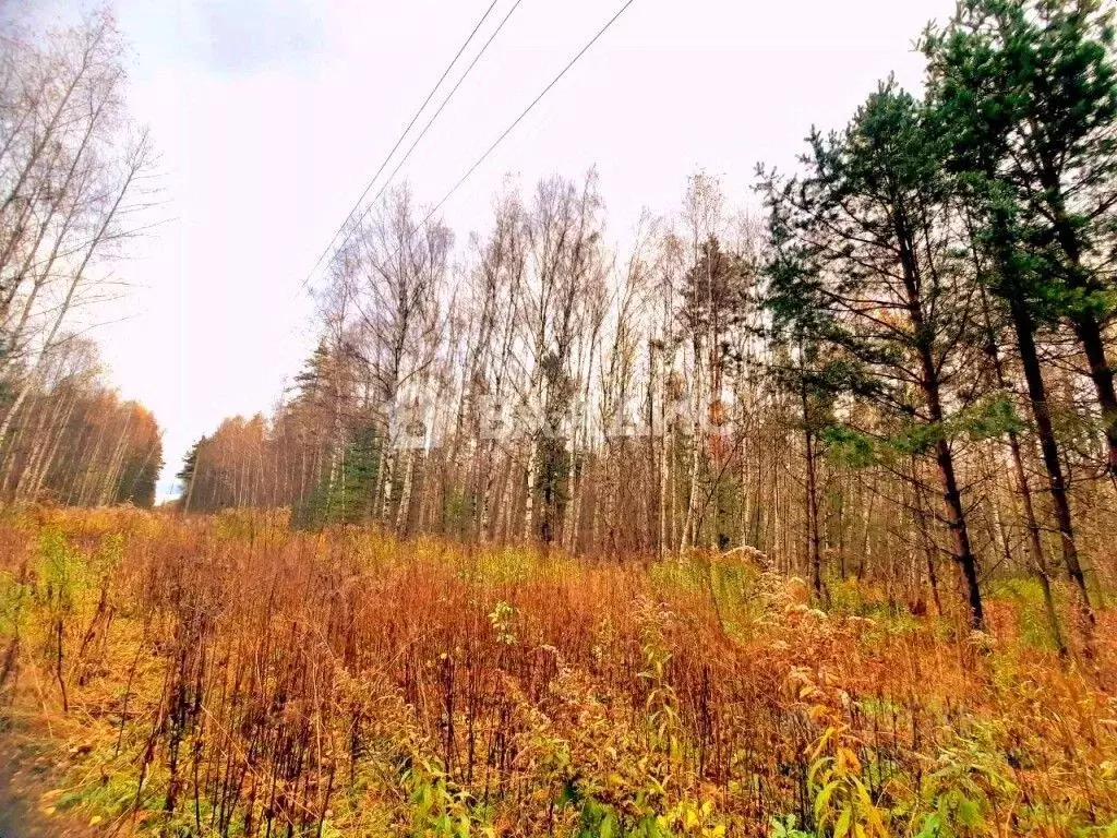 Участок в Владимирская область, Камешковский район, Второвское ... - Фото 0