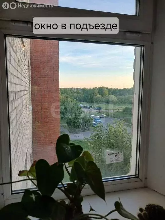 1-комнатная квартира: Светлый, 23 (36.5 м) - Фото 1