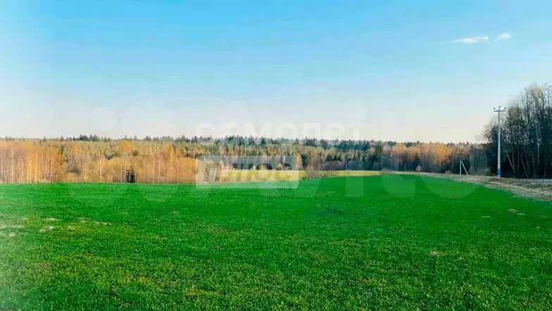 Участок 9,8 сот. (СНТ, ДНП) - Фото 0