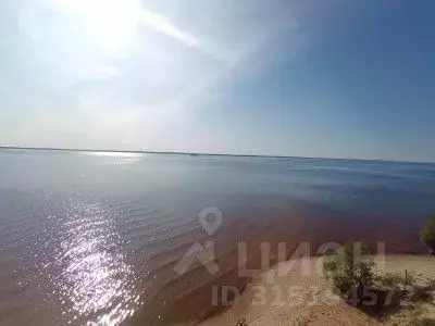 Участок в Нижегородская область, Нижний Новгород  (63.0 сот.) - Фото 1