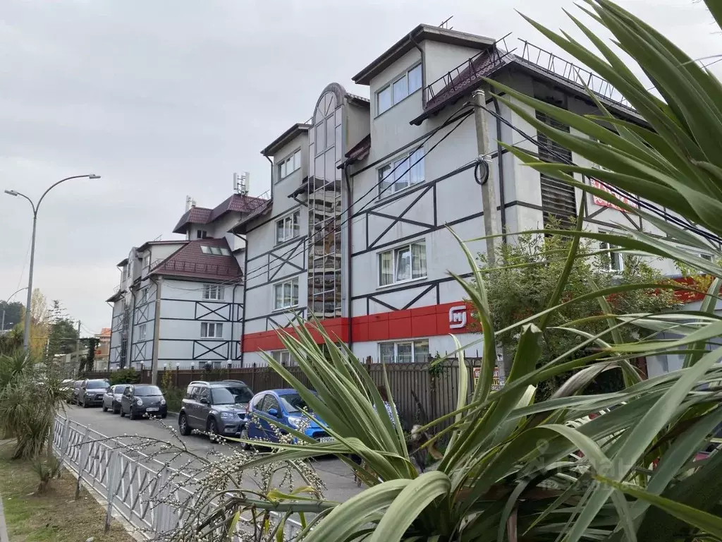 1-к кв. Краснодарский край, Сочи городской округ, Дагомыс пгт ул. ... - Фото 1