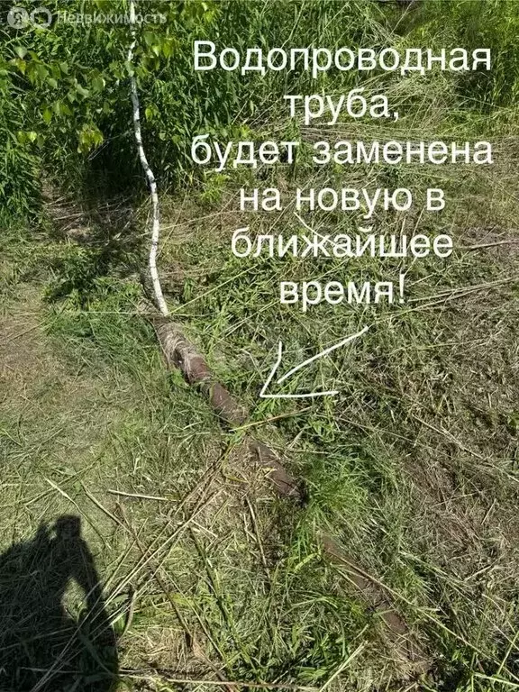 Участок в Криводановский сельсовет, садовое товарищество Мечта (11.5 ... - Фото 0