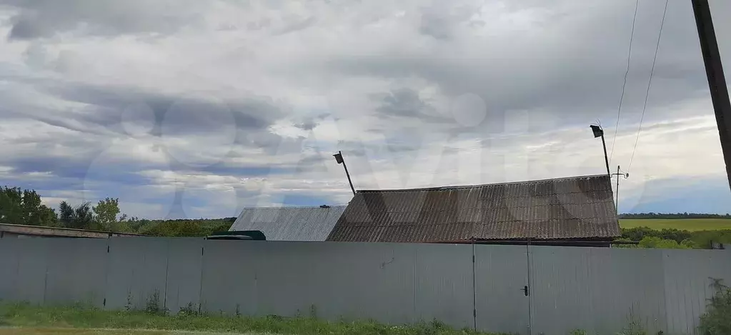 Участок 14 сот. (СНТ, ДНП) - Фото 0
