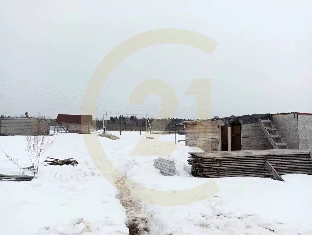 Участок в Пермский край, Пермский муниципальный округ, Дачный Просторы ... - Фото 1