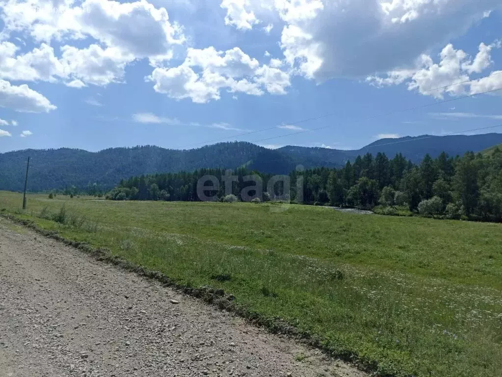 Участок в Шебалинский район, село Барагаш (168.63 м) - Фото 0