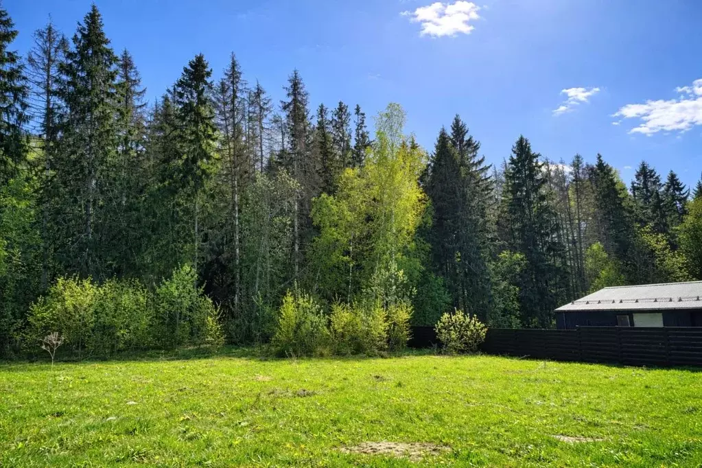 Участок в Московская область, Пушкино Чистые Пруды-2 кп, ул. Вишневая ... - Фото 2