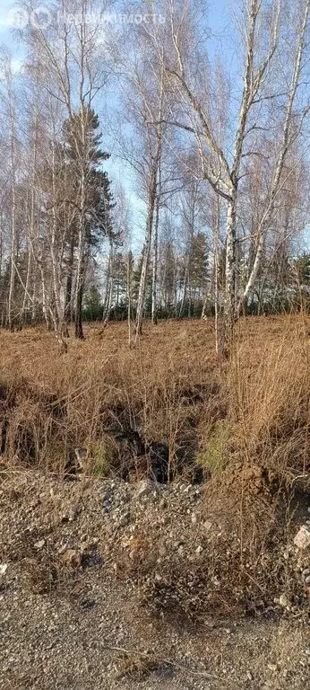 Участок в Иркутский муниципальный округ, рабочий посёлок Маркова, ... - Фото 0