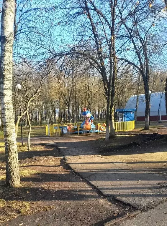 1-комнатная квартира: Пенза, Кронштадтская улица, 5А (30.4 м) - Фото 1