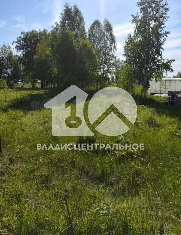 Участок в Новосибирская область, Новосибирский район, Кудряшовский ... - Фото 0