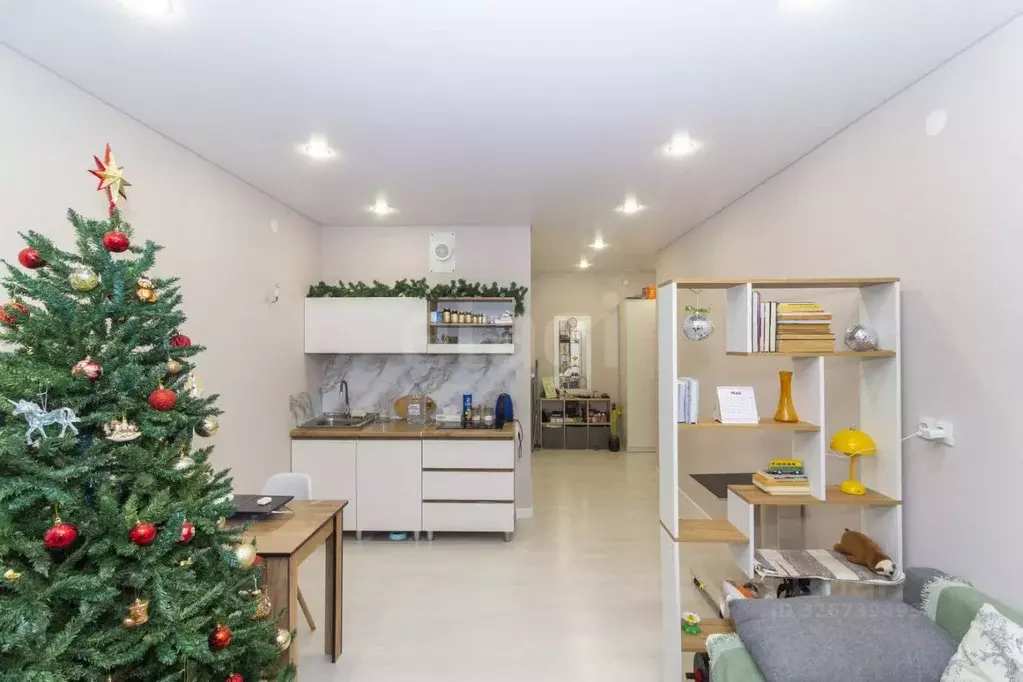 Студия Тюменская область, Тюмень ул. Василия Малкова, 12 (27.4 м) - Фото 1