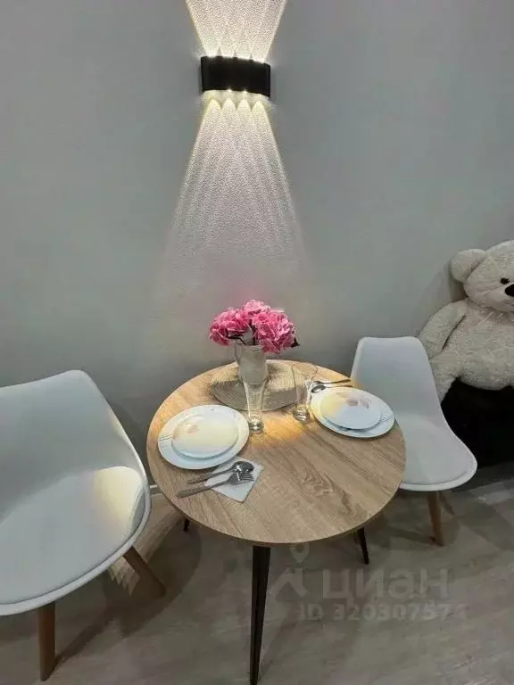 1-к кв. Новосибирская область, Новосибирск ул. Кирова, 113/2 (25.0 м) - Фото 2