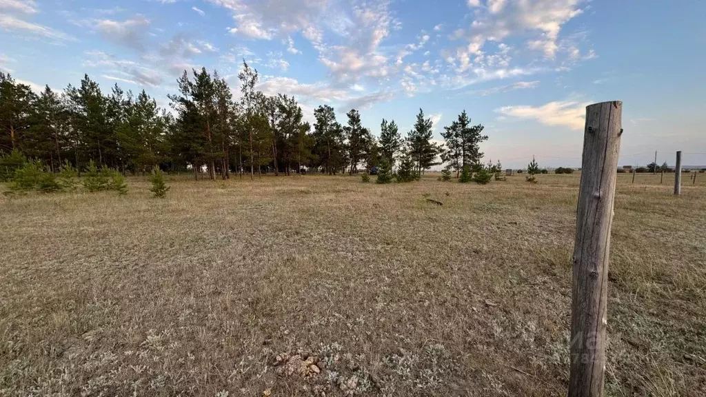 Участок в Саха (Якутия), Якутск городской округ, с. Сырдах  (8.15 ... - Фото 0