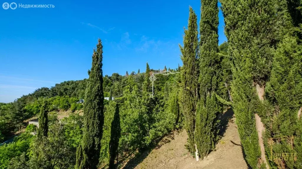 Участок в Ялта, улица Павленко (10 м) - Фото 0