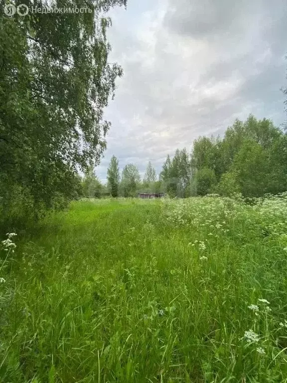 Участок в Вологда, садоводческое товарищество Сохатый (12 м) - Фото 1