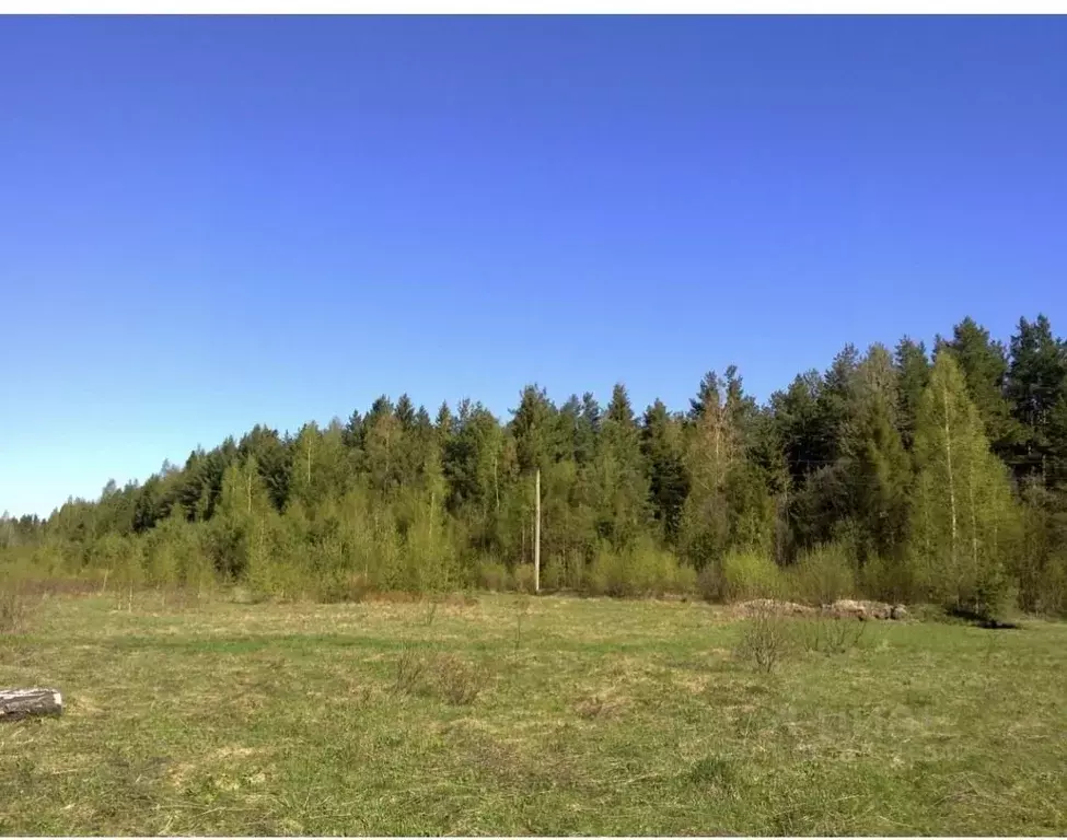 Участок в Вологодская область, Устюженский район, д. Андраково  (4.4 ... - Фото 0