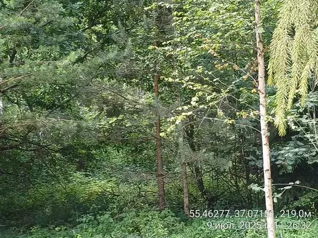 Участок 5 сот. (ИЖС) - Фото 0