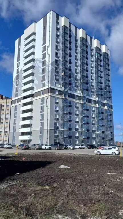 Студия Тамбовская область, Тамбов ул. Агапкина, 2К (31.2 м) - Фото 1