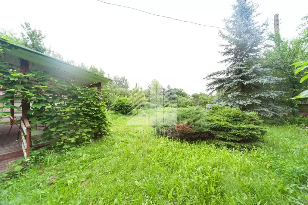 Дом в Московская область, Домодедово Ромашка-5 СНТ, 8 (67 м) - Фото 2