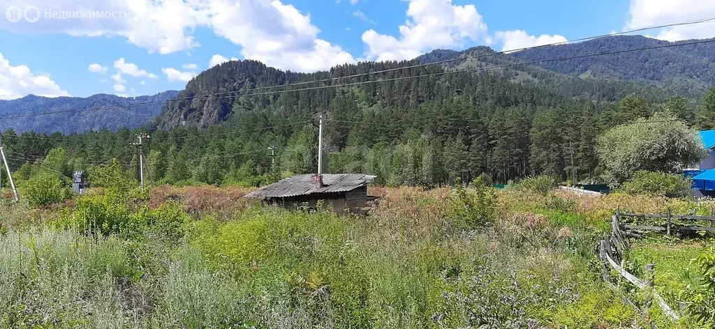 Участок в Майминский район, Р-256 Чуйский тракт, 493-й километр (15 м) - Фото 2