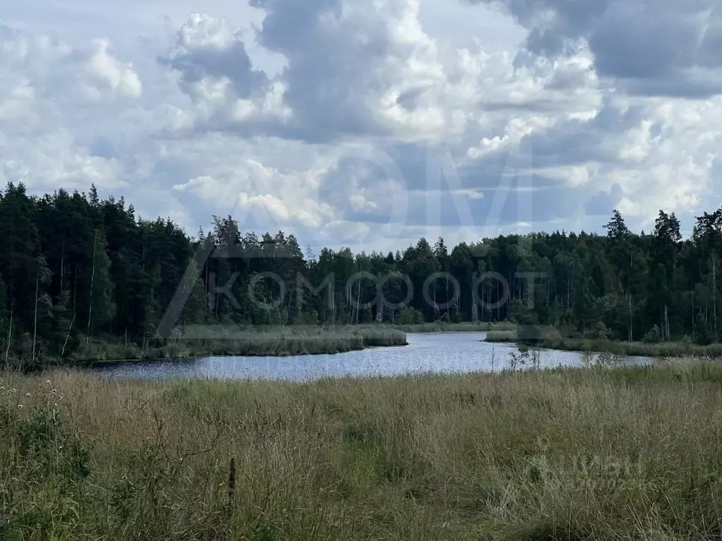 Участок в Ленинградская область, Приозерский район, Севастьяновское ... - Фото 1