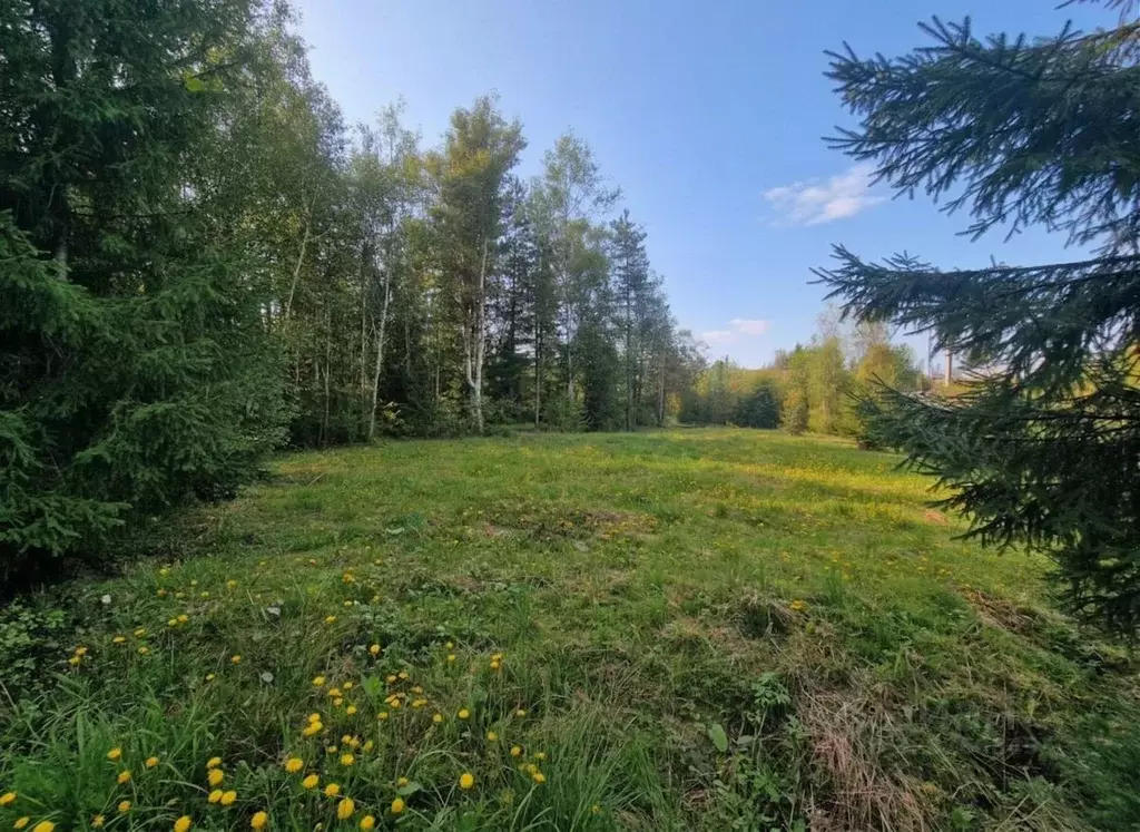 Участок в Ленинградская область, Гатчинский муниципальный округ, Чаща ... - Фото 1