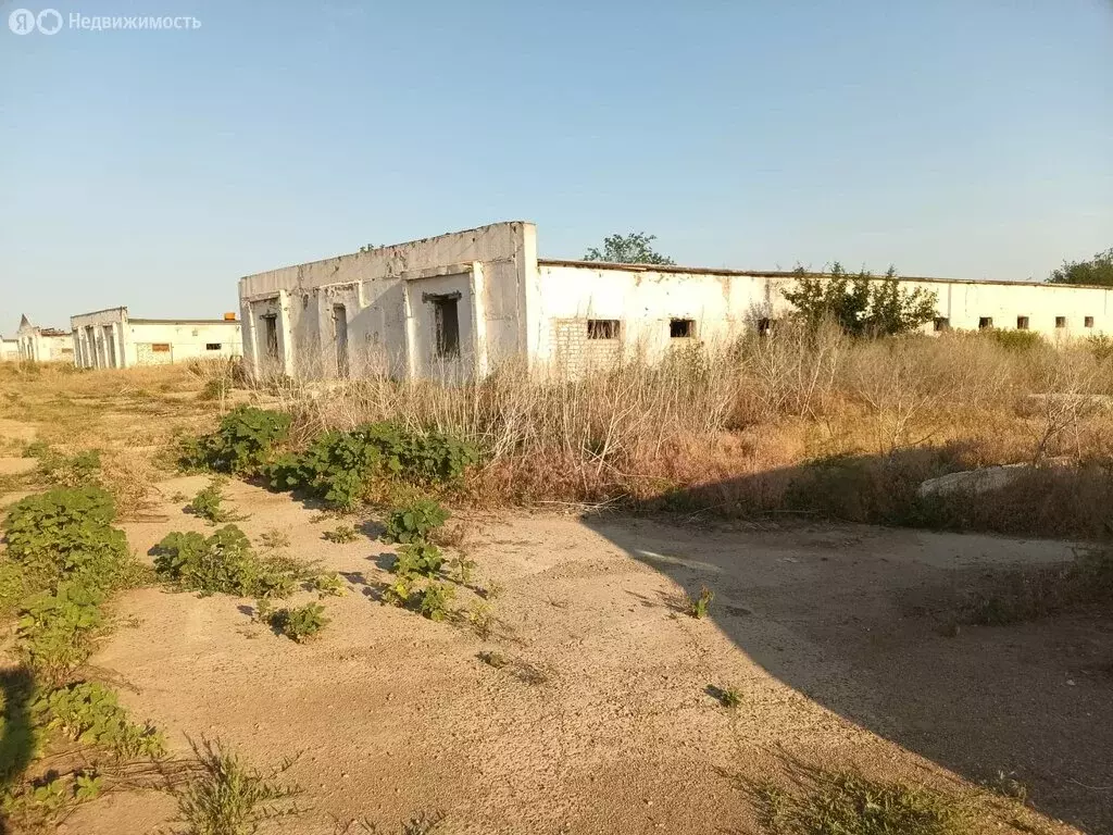 Помещение свободного назначения (70371 м) - Фото 1