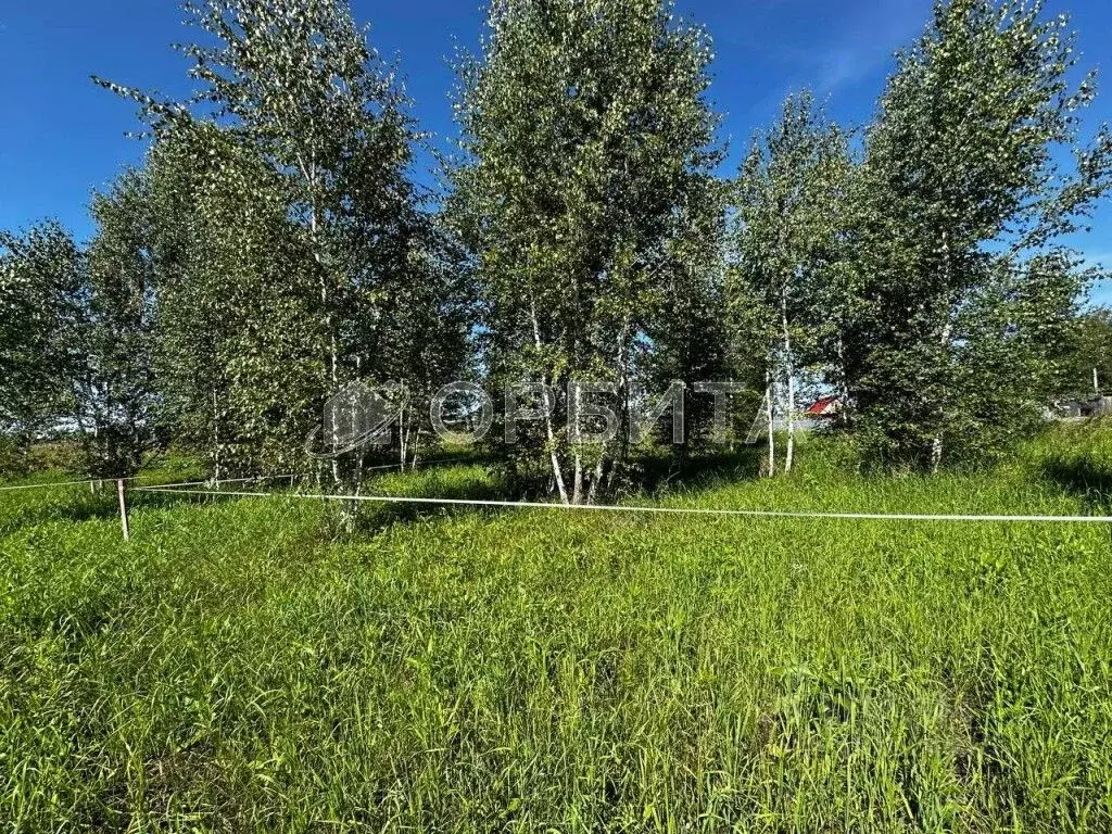 Участок в Тюменская область, Тюмень Салаирский тракт, 6-й км, 19 (4.66 ... - Фото 2