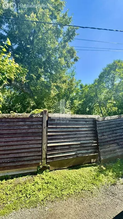 Участок в Домодедово, СНТ Минерал, 59 (8 м) - Фото 1