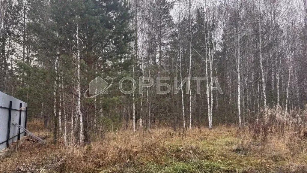 Участок в Тюменская область, Нижнетавдинский муниципальный округ, д. ... - Фото 2