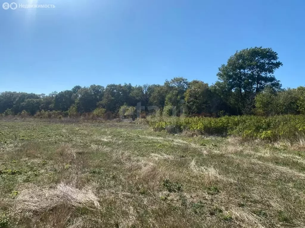 Участок в Краснодарский край, городской округ Новороссийск, станица ... - Фото 2