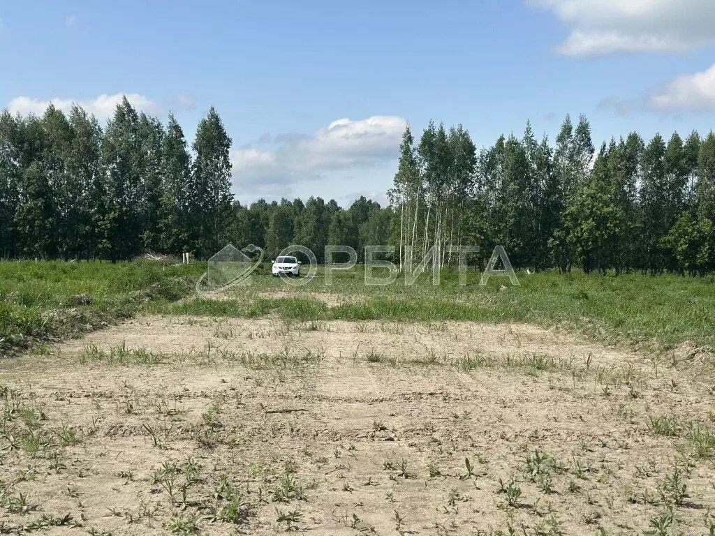 Участок в Тюменская область, Тюменский муниципальный округ, д. Чаплык  ... - Фото 1