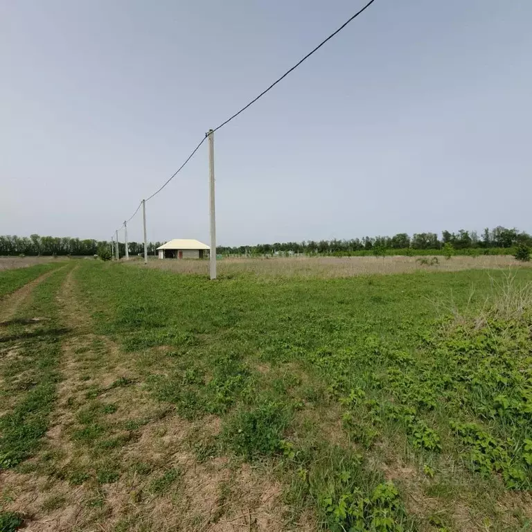 Участок в Краснодарский край, Краснодар Старокорсунская ст-ца, пер. ... - Фото 2