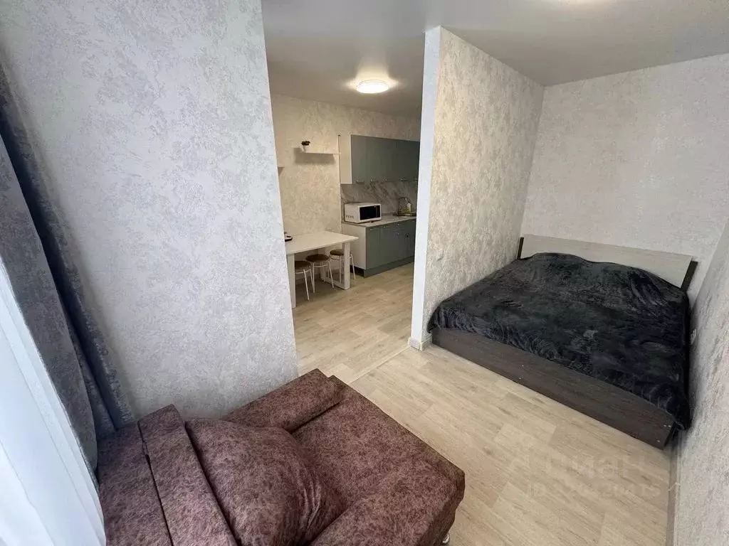 Студия Тюменская область, Тюмень ул. Анатолия Клиндюка, 6 (25.0 м) - Фото 2