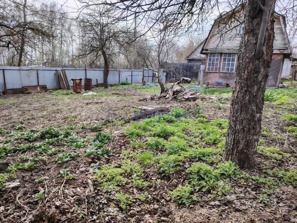 Участок в Нижегородская область, Богородский муниципальный округ, ... - Фото 1