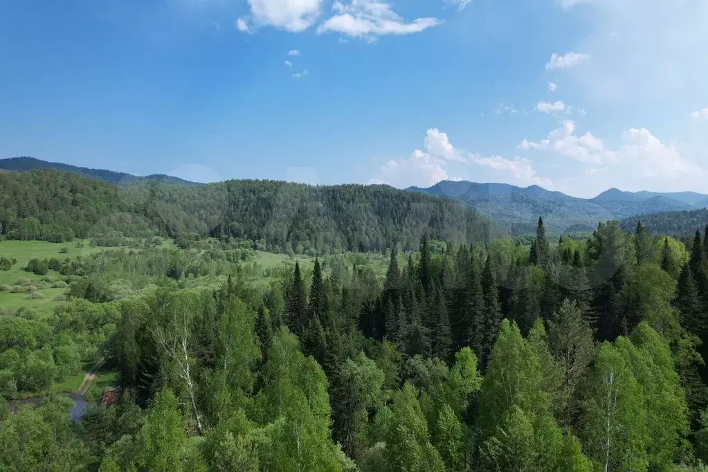 Участок 2,43 га (СНТ, ДНП) - Фото 0