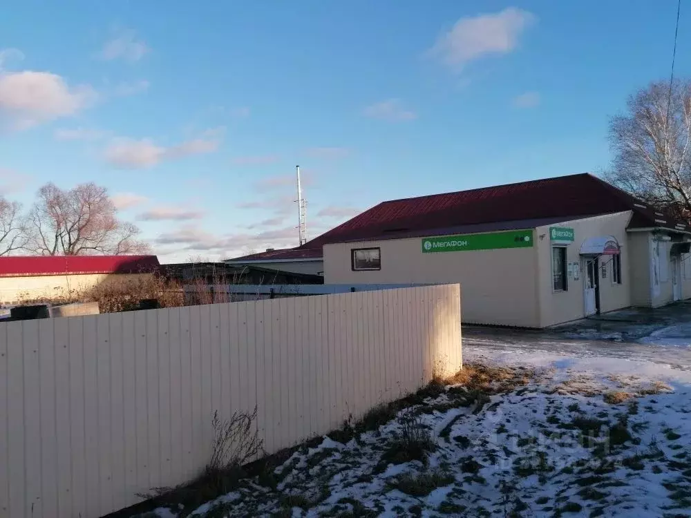 Торговая площадь в Омская область, с. Усть-Ишим ул. Советская, 96 (298 ... - Фото 2