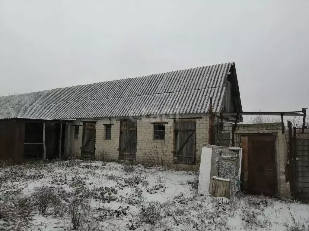 Дом в Липецкая область, Хлевенский район, с. Елец-Маланино ул. ... - Фото 1