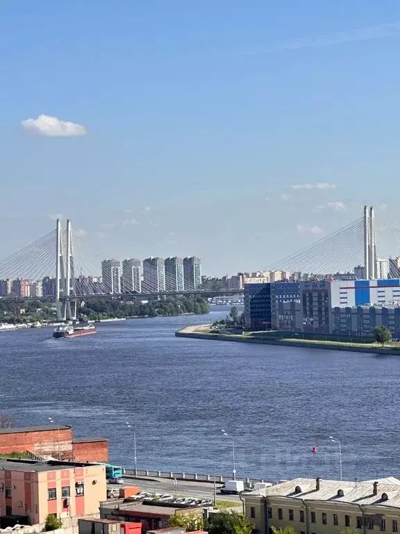 Студия Санкт-Петербург просп. Большевиков, 68к1 (21.0 м) - Фото 2