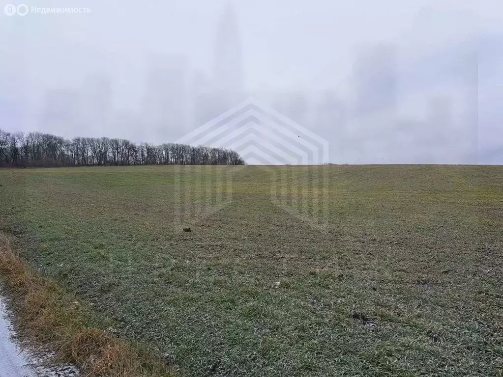 Участок в Ставропольский край, Предгорный муниципальный округ, село ... - Фото 1