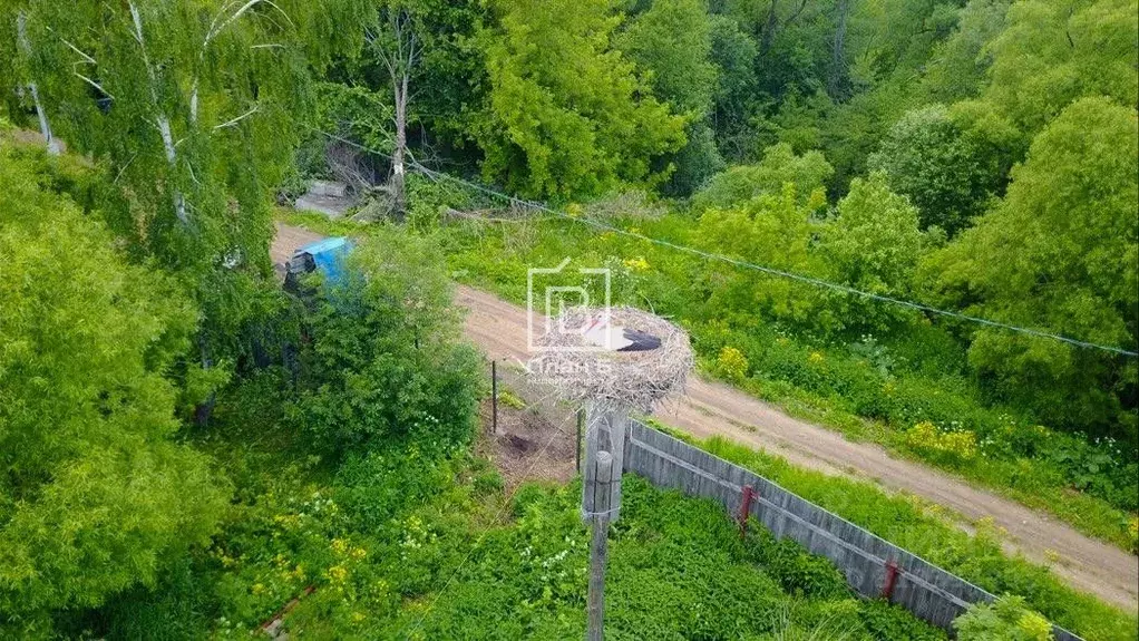 Участок в Калужская область, Дзержинский район, Совхоз Чкаловский ... - Фото 2