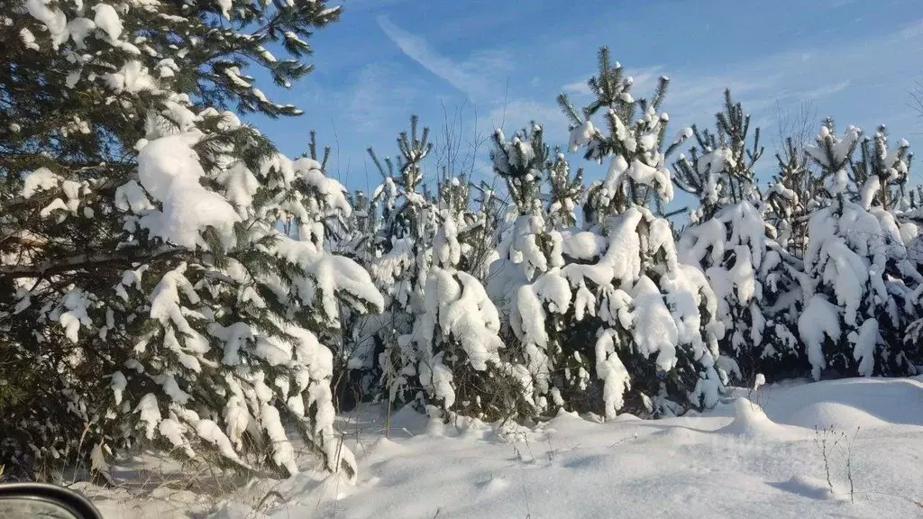 Участок в Московская область, Сергиево-Посадский городской округ, с. ... - Фото 2