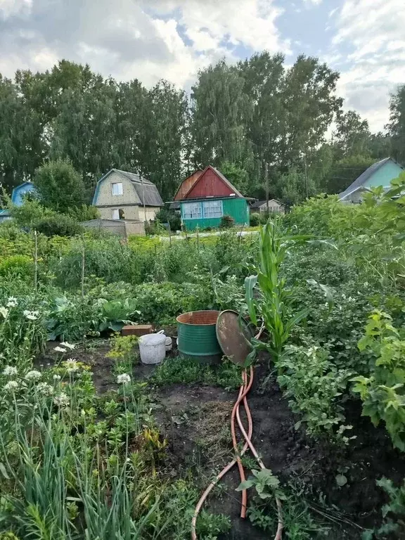 Дача 30 м на участке 5,4 сот. - Фото 0