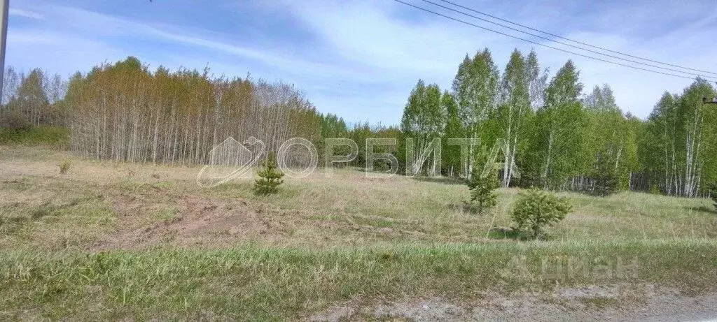 Участок в Тюменская область, Нижнетавдинский район, с. Тюнево  (7.0 ... - Фото 1