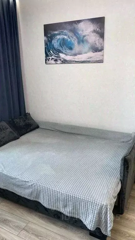 1-к кв. Санкт-Петербург Земледельческая ул., 3 (24.0 м) - Фото 2