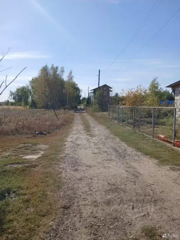 Участок в Воронежская область, Новоусманский район, Тимирязевское ... - Фото 1