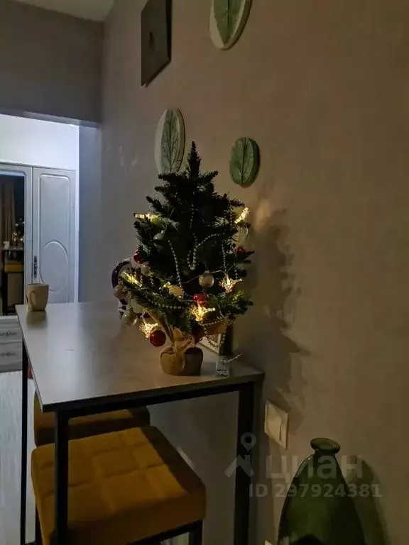 Студия Иркутская область, Иркутск Култукская ул., 99/15 (25.0 м) - Фото 2