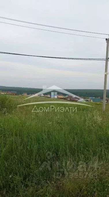 Участок в Нижегородская область, Богородский район, д. Инютино ул. ... - Фото 0