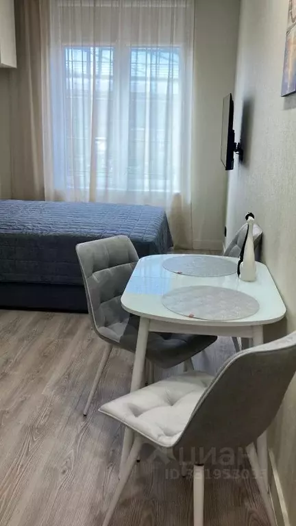 Студия Санкт-Петербург Ремесленная ул., 15 (24.0 м) - Фото 1